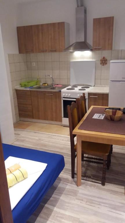 Kuchyň nebo kuchyňský kout v ubytování Apartment Cvijanović