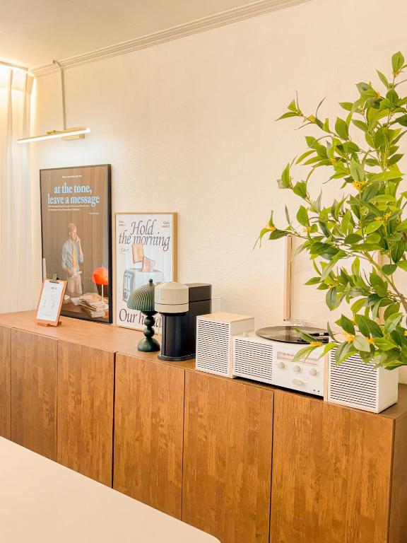 a counter in a room with a potted plant at 연남동,경의선숲길,홍대입구2번출구,올리브영,연세대,세브란스병원,2룸3베드,Ak홍대쇼핑,짐보관 in Seoul