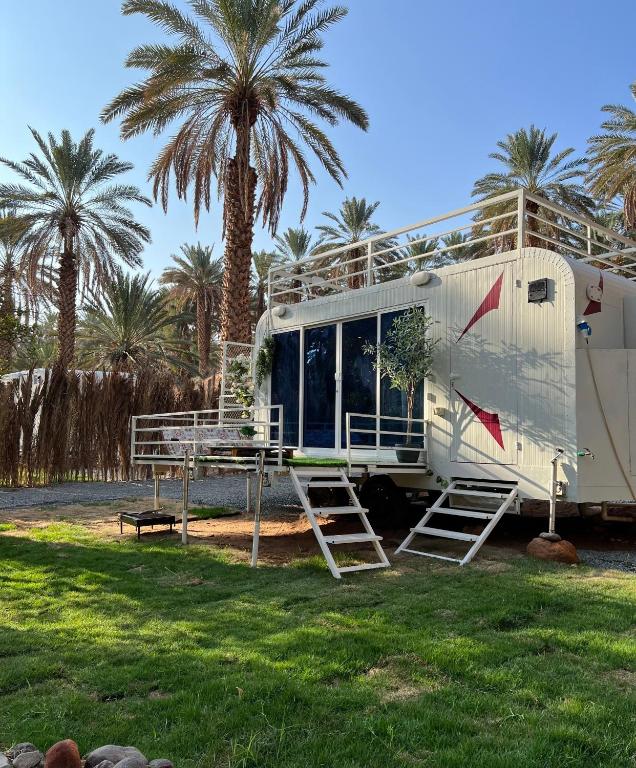 欧拉caravan alula的一辆白色房车停在一片棕榈树丛中