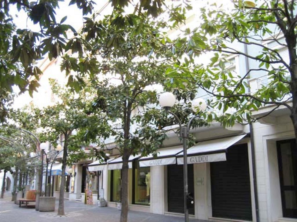 a street with trees in front of a store at Lina's Apartment in Grado
