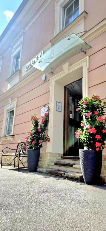 a building with two pots of flowers in front of it at AMADEA - Cityhotel Salzburg in Salzburg