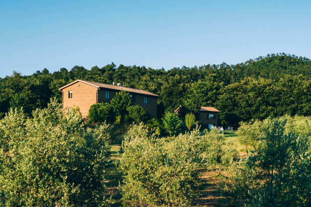 ein Haus inmitten eines Feldes mit Bäumen in der Unterkunft Podere San Francesco in Bolsena