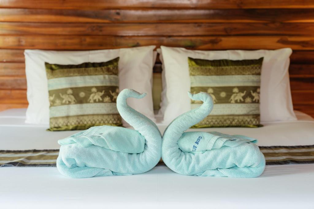 Samui Blue Bird - 10