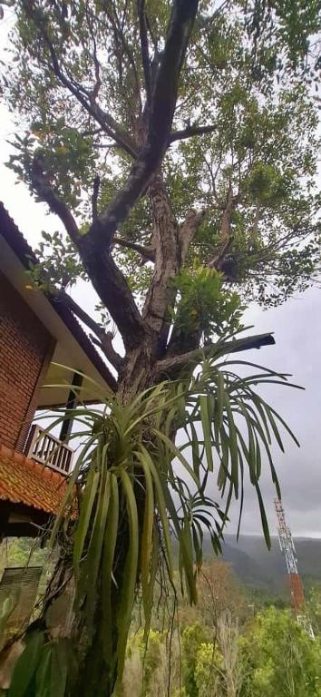 Kraras Munduk Guest House & DonBiyu Rendezvous Restaurant - 16