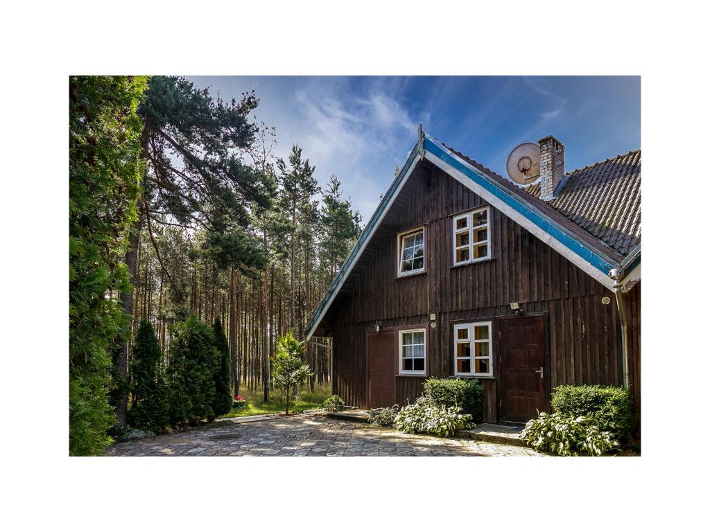 uma casa de madeira no meio de uma floresta em Forest Cottage em Neringa