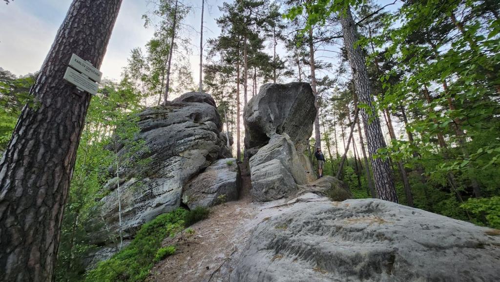 a large rock in the middle of a forest at U Studánky in Drnovec