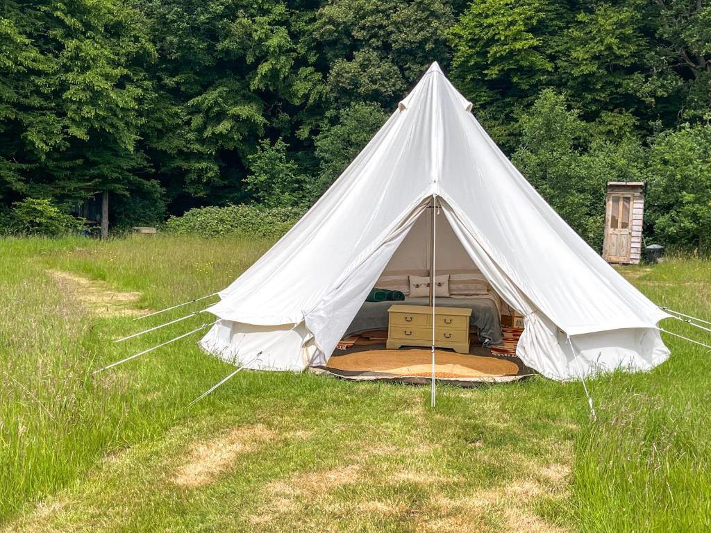 a white tent in a field of grass at Barn Owl - Uk49932 in Shadoxhurst