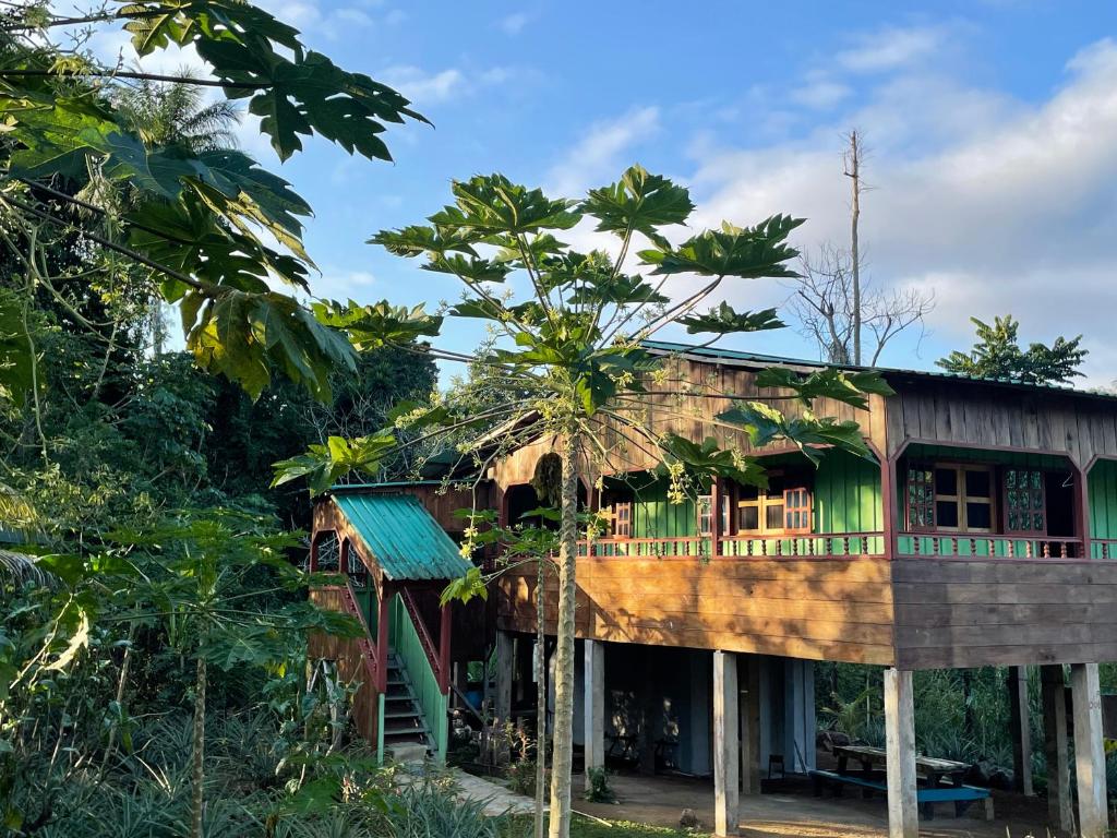 a house with a palm tree in front of it at Casas Salomão in Santo António