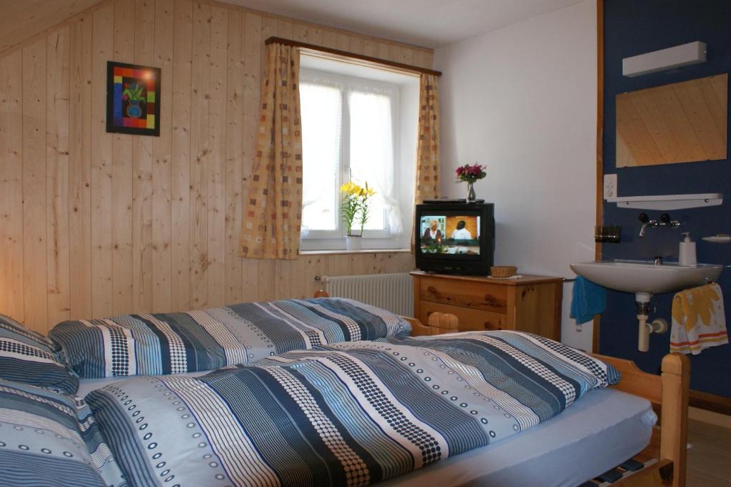 TV a/nebo společenská místnost v ubytování Gasthaus Waldheim