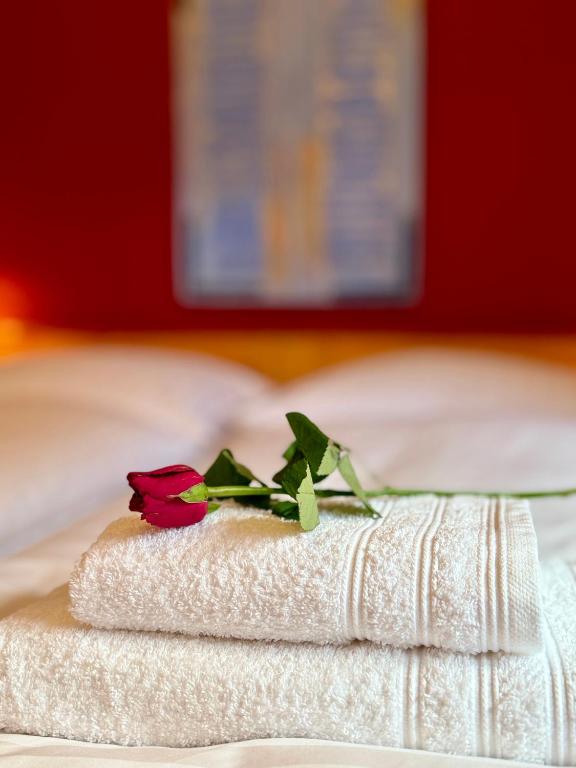 a red rose sitting on top of a towel at AH Carinthia Mallnitz - Carinthia Appartements in Mallnitz