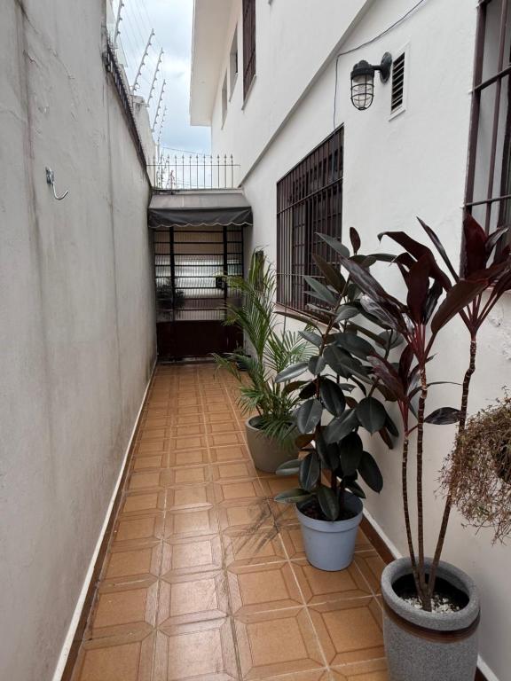 a hallway with potted plants on the side of a building at Aconchego em congonhas- CGH in Sao Paulo