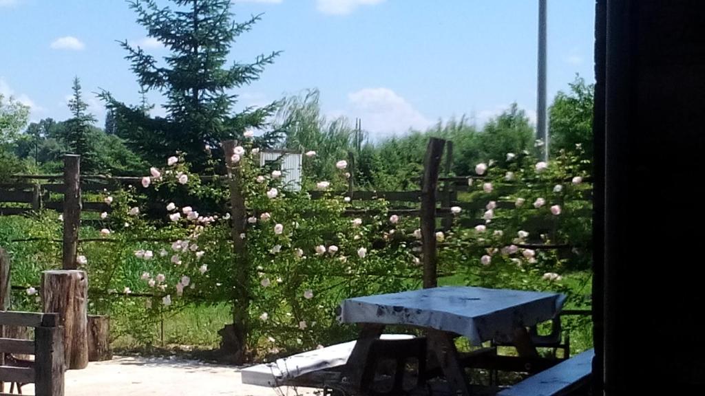 a fence with a table in front of a field of roses at Rooms Ma La in Karlovac