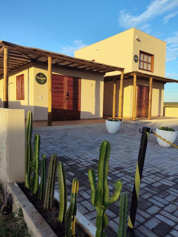 a cactus in front of a house at Mar e Terra Bangalôs in Areia Branca