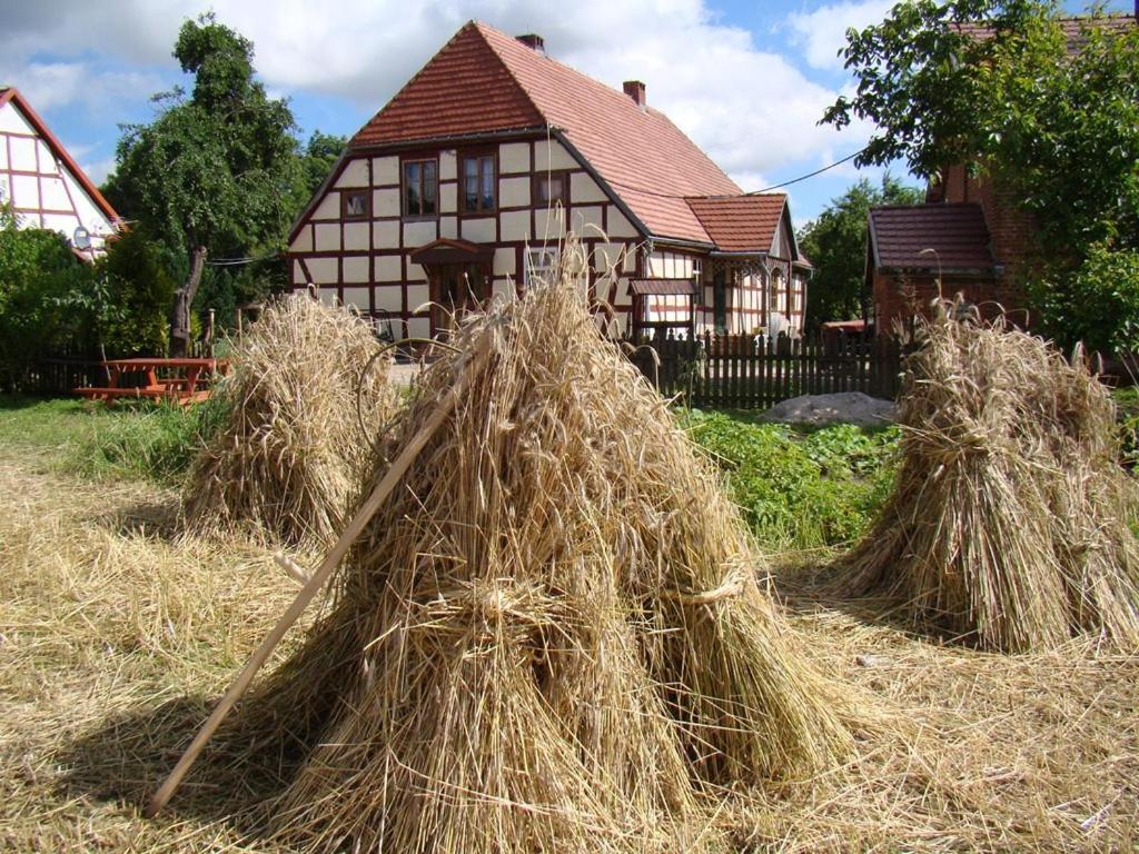 Zagroda Chłopska - Housity