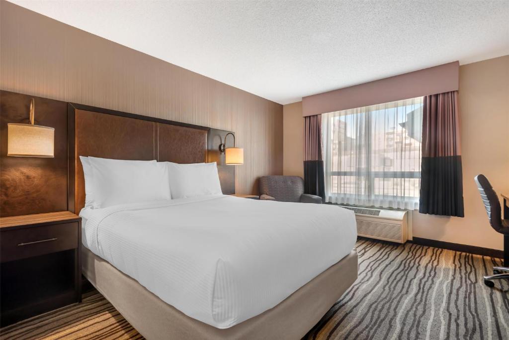 Best Western PLUS Calgary Centre Inn - Resim 18