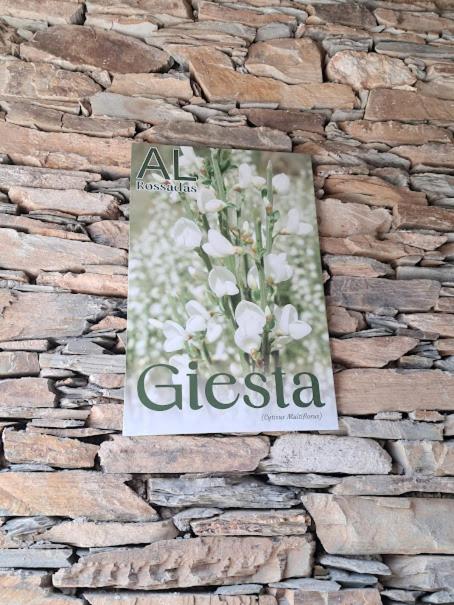 a book on a stone wall with a sign on it at AL Rossadas Giesta in Arganil