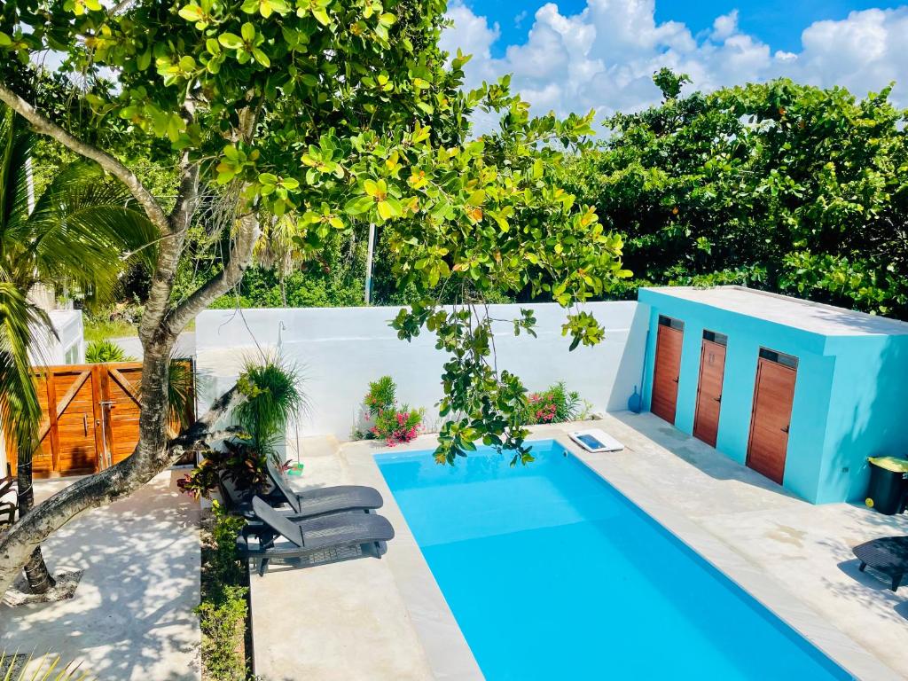 una piscina en un patio con un árbol en Aqua Guesthouse, en Puerto Morelos