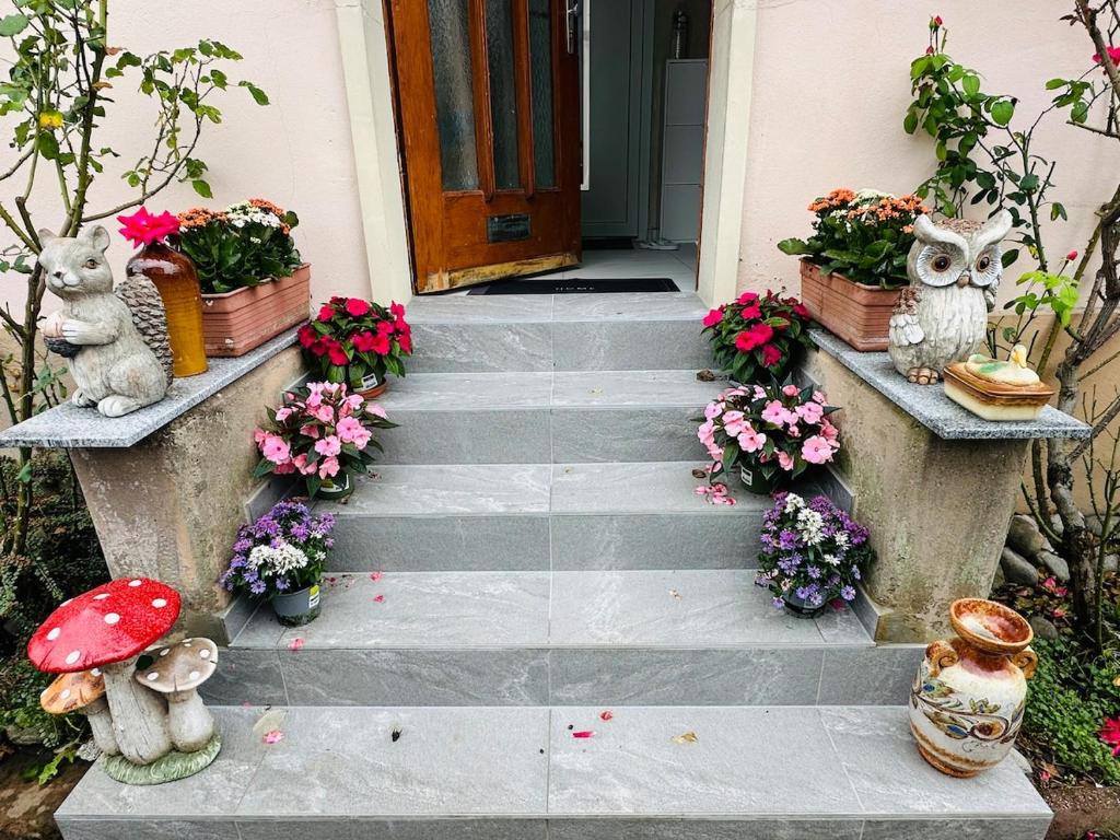 Relaxing Private Retreat, Near the Rhine river! – photo 13