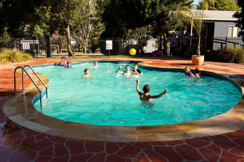grupa ludzi pływających w basenie w obiekcie Rivergum Holiday Park w mieście Corowa