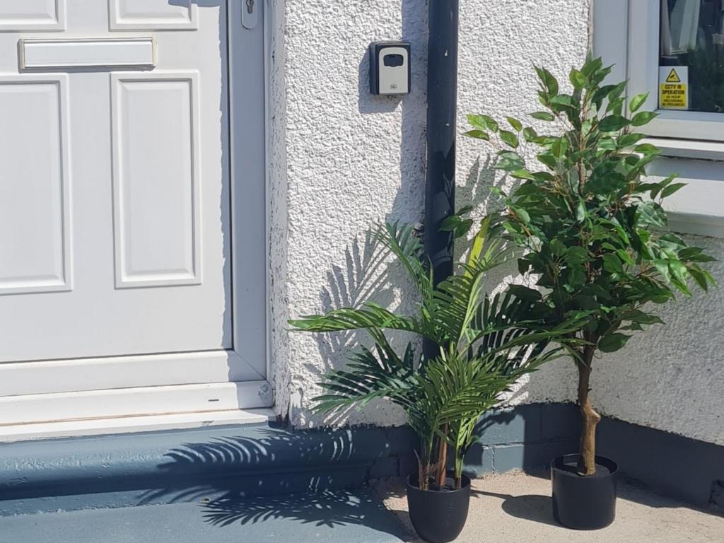 due piante in vasi davanti a una porta di Lohia Nights a Middlesbrough