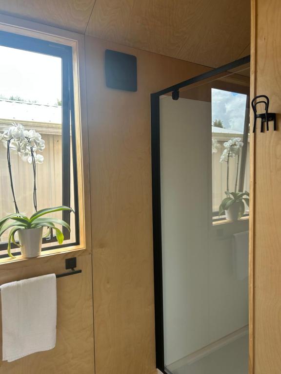 Tiny on Access - Resim 3