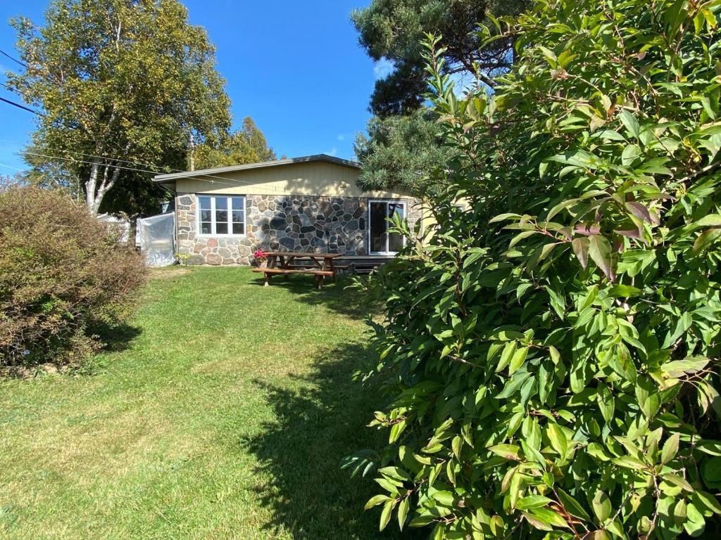 a stone house behind a bush in front of a yard at La petite maison sur l'Isle in L'Isle-aux-Coudres