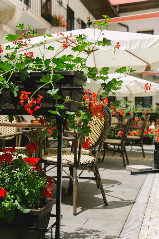 Le Petit Paris - Resim 12