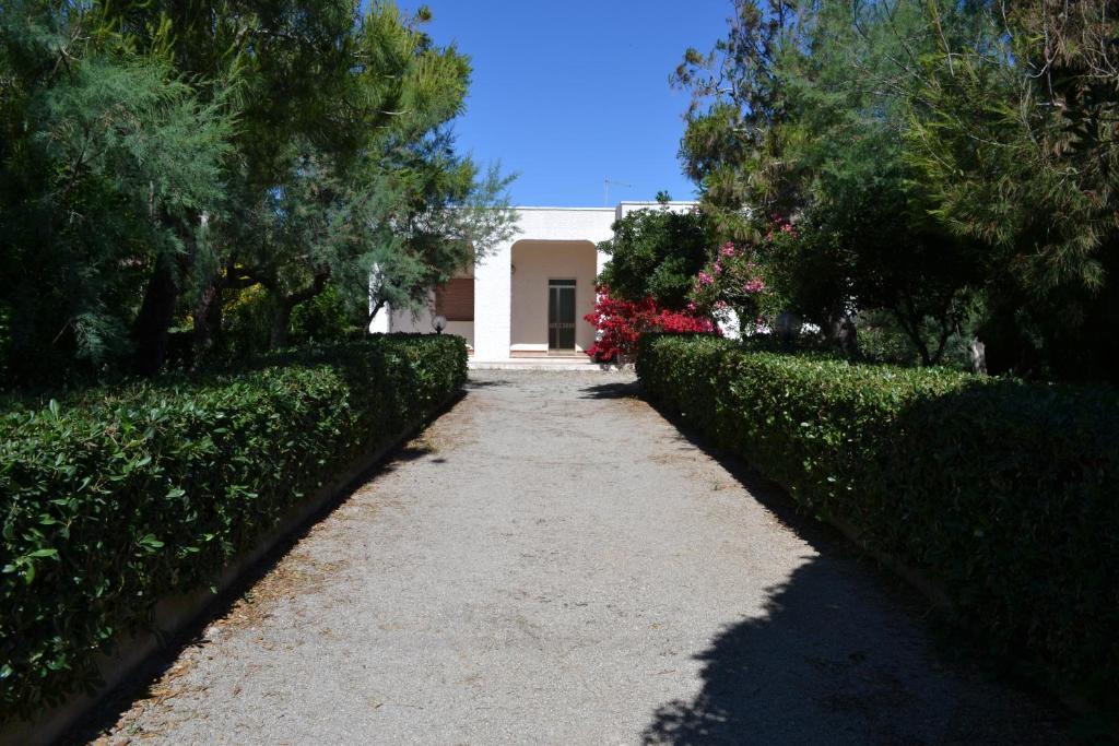 Zahrada ubytování Villa Cino