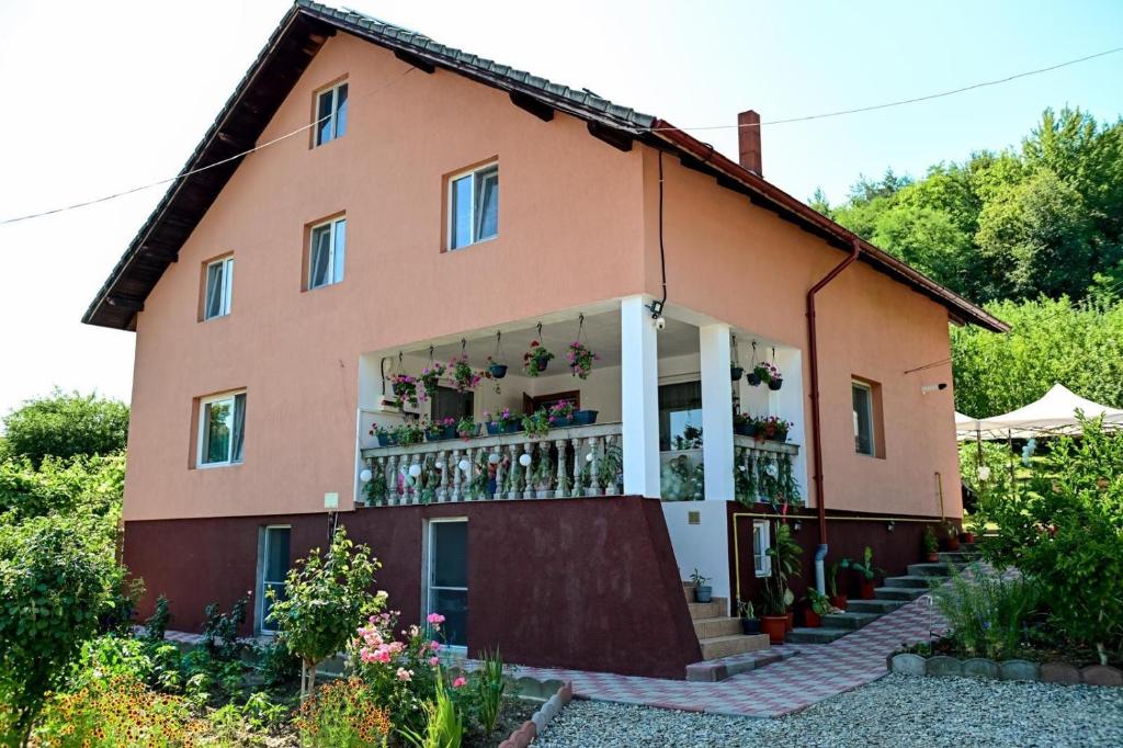 a house with a balcony with potted plants at Casa Eliana in Călimăneşti
