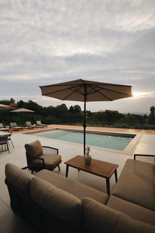 a patio with a couch and an umbrella next to a pool at Like a therapy VILLA in Krčedin