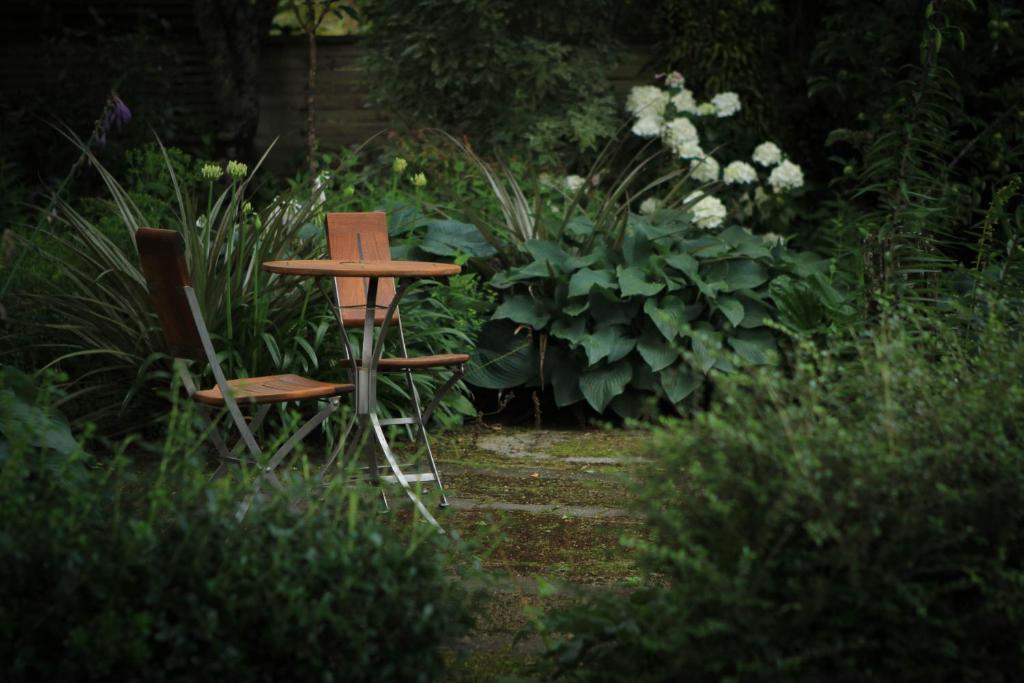 River Birches - Resim 18