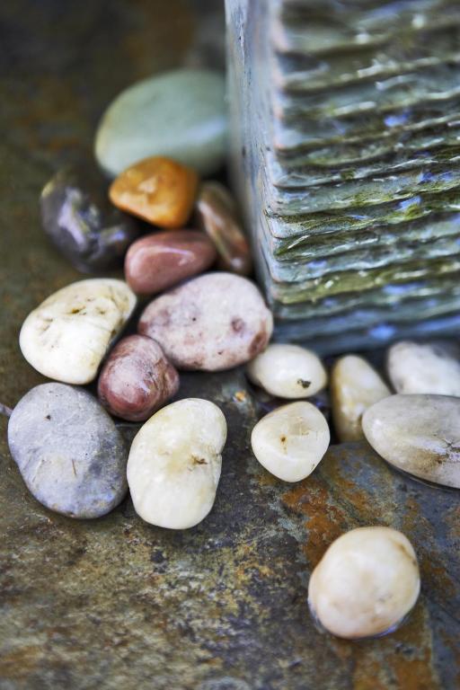 River Birches - Resim 29