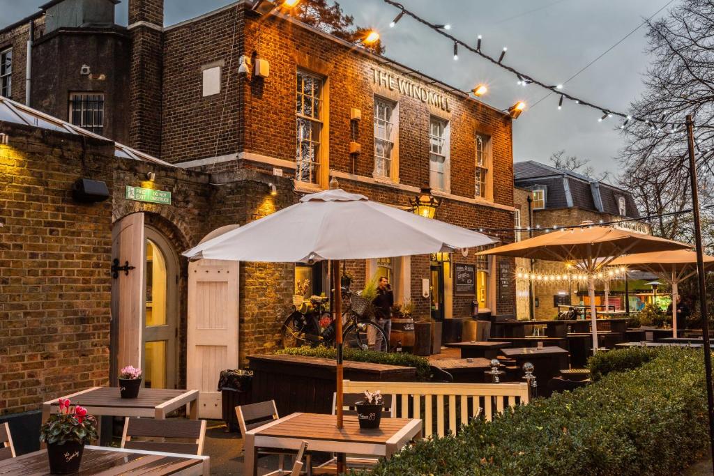 The Windmill On The Common - Resim 22