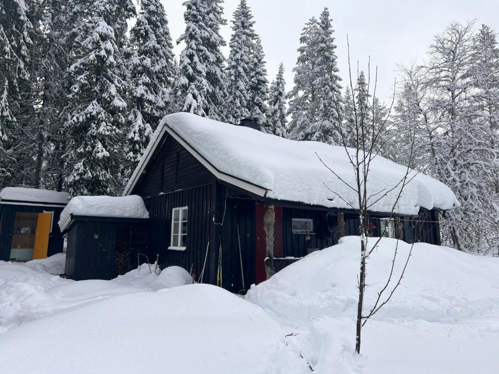 a cabin with snow on the roof in the woods at Charming Cabin At The Foot Of The Mountain in Jordet