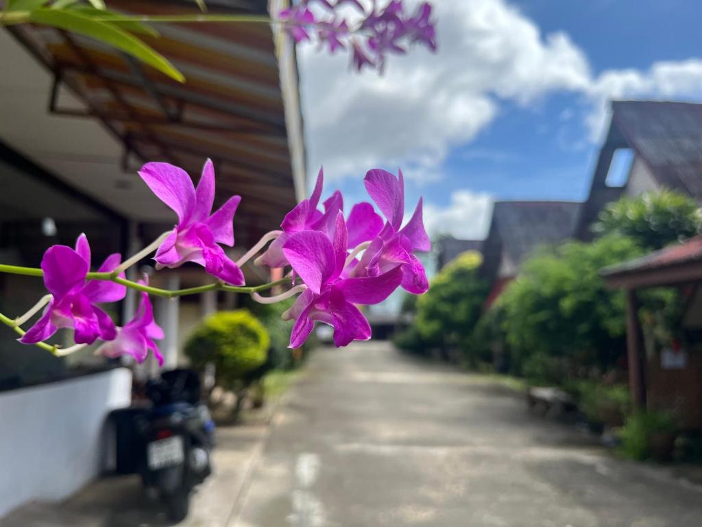 Go Gear Travel & Bungalow - Resim 1