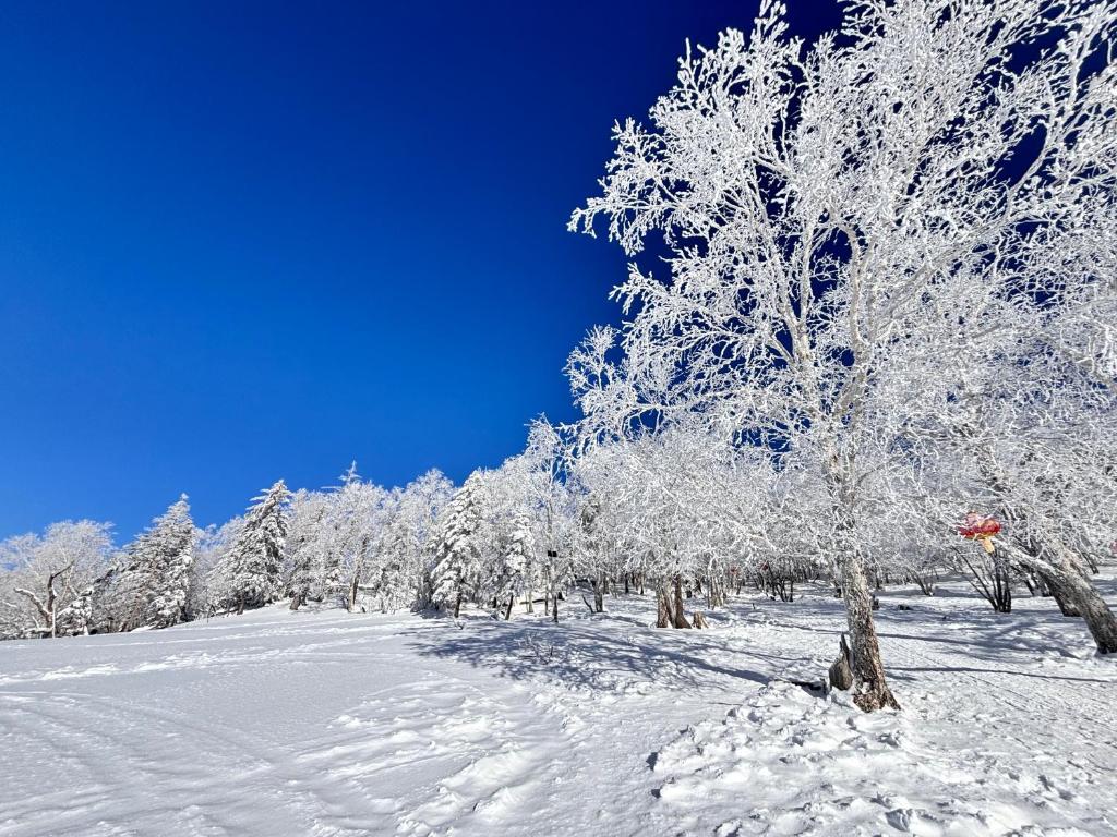 Το Xuegu Nannan B&B τον χειμώνα