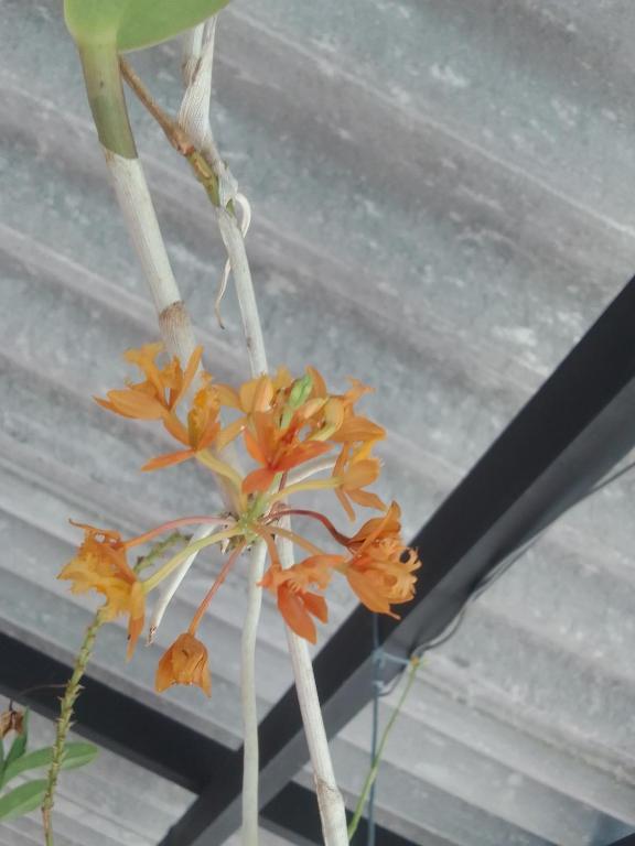 Nature's Glow Homestay And Resturant - 7