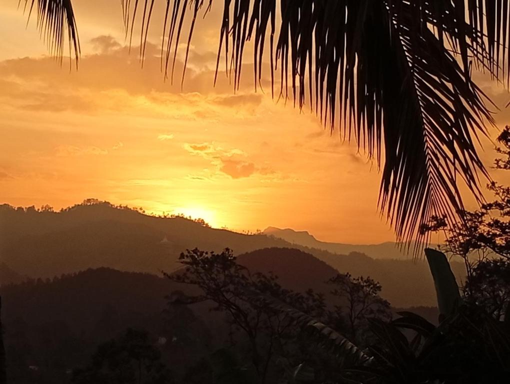 The 1964 Holiday bungalow - 11