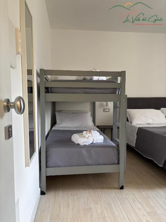 La valle del ciglioto - Habitación Cuádruple