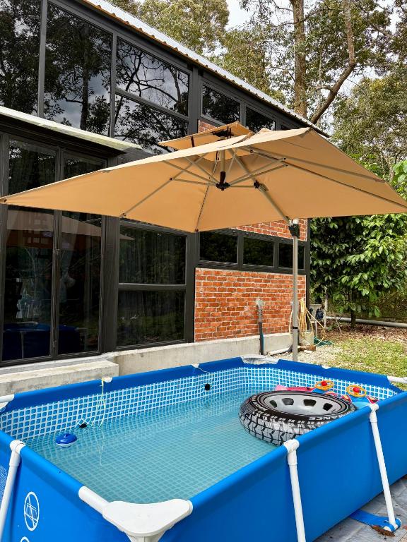 a pool with an umbrella and a chair and a swimming pool at Royal Brick Cottage, Jelebu in Kuala Kelawang