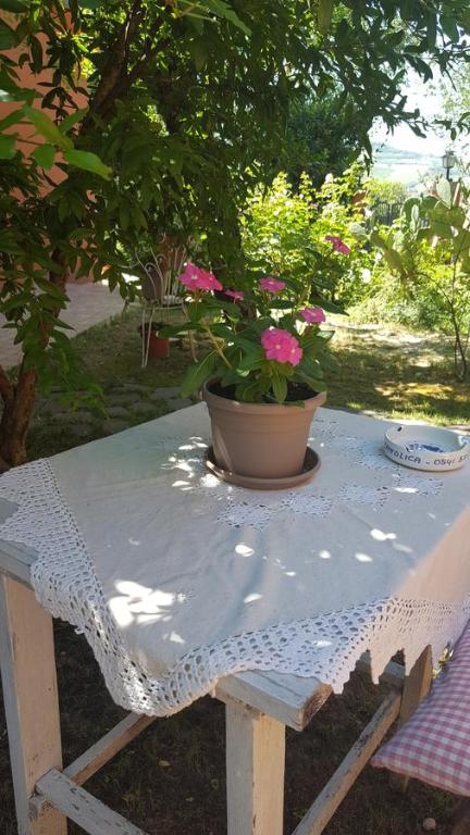 Zahrada ubytování B&B La Rosa Antica