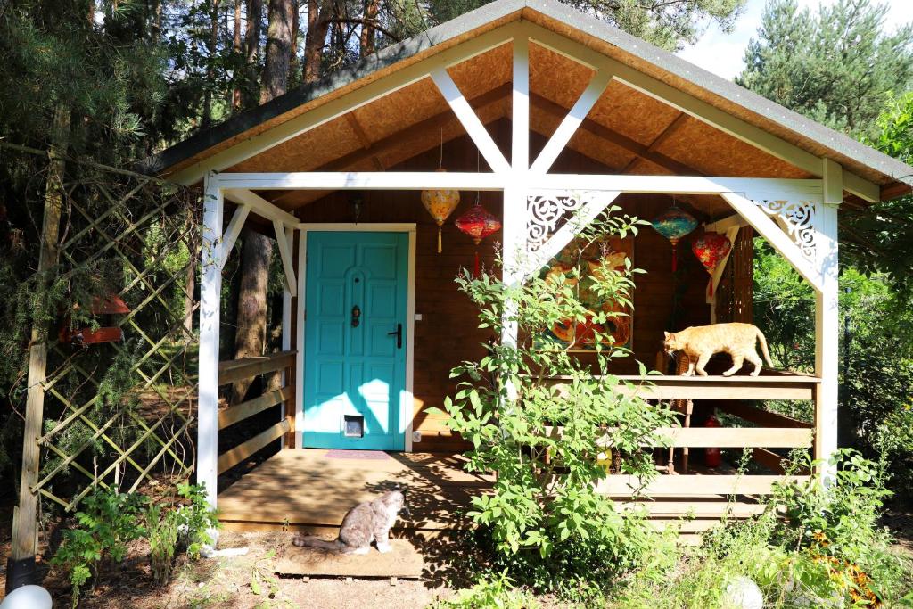 a dog standing outside of a shed with a blue door at Domek Wróżki - Sanktuarium Laparica w Puszczy Białej 