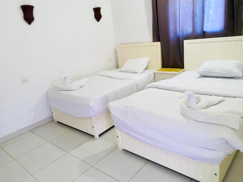 Moon House of Luxor - 1