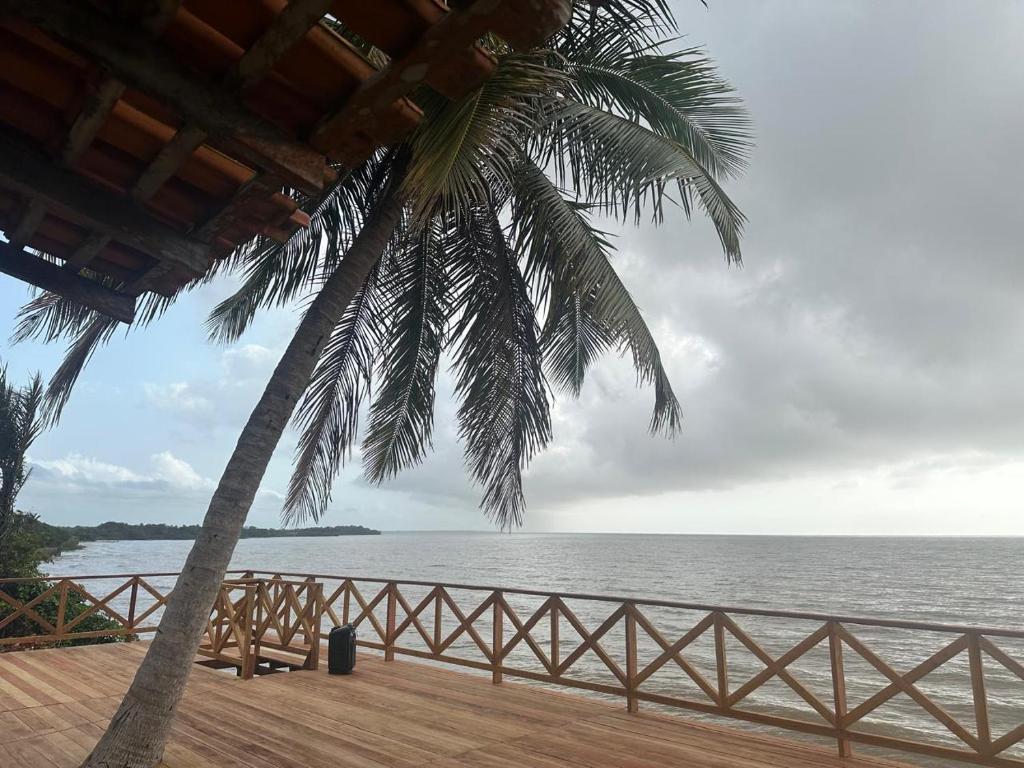 Naturlandskabet i nærheden af feriehuset