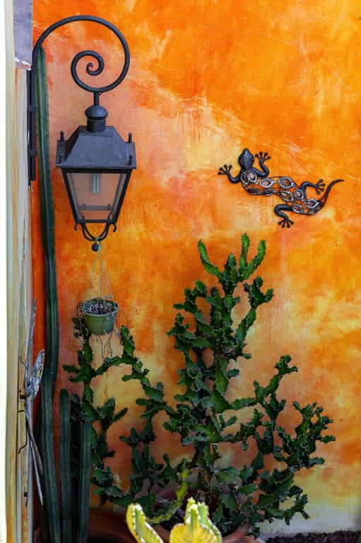 Cortijo Boutique Marbella - Resim 16