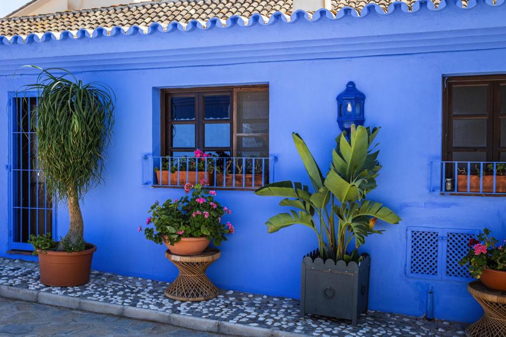 Cortijo Boutique Marbella - Resim 23