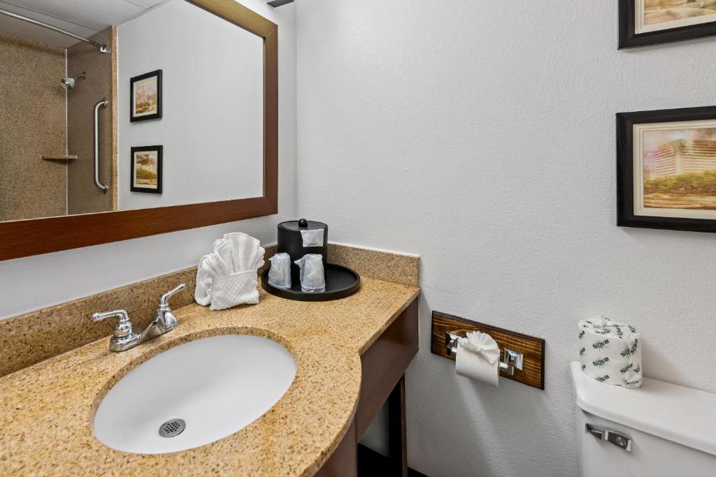 Comfort Inn & Suites Omaha Central - King Room - Non-Smoking