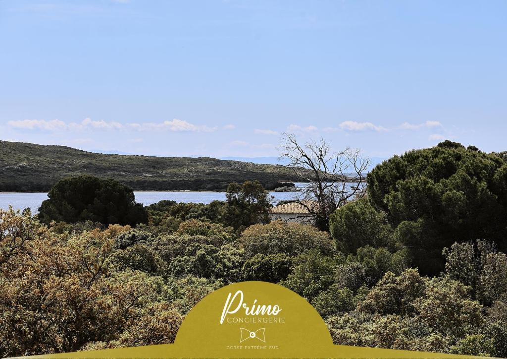 Naturlandskabet i nærheden af lejligheden