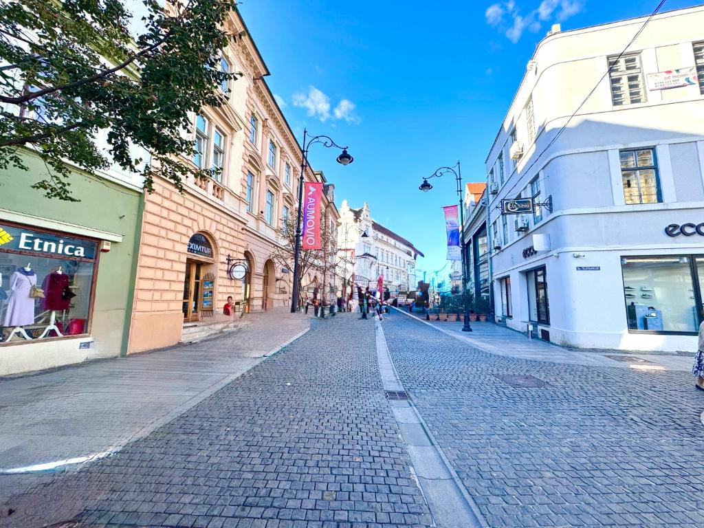 シビウにあるBalcescu Loftの建物が立ち並ぶ街の石畳の道