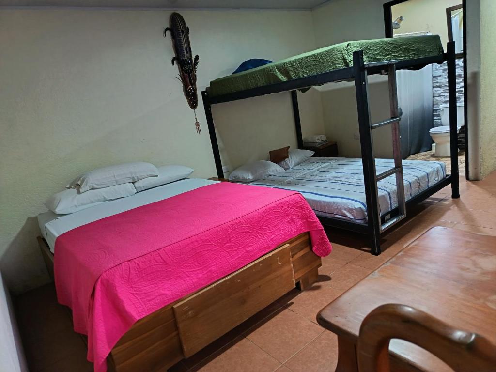 a bedroom with a bunk bed with a pink blanket at Granja Agua Azul, Wi-FI,AC-WC,Parking,la Fortuna in Fortuna